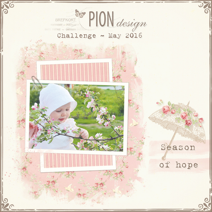 pion challenge may 2016